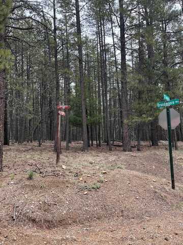 6 Broadmoor Way, Angel Fire, NM 87710