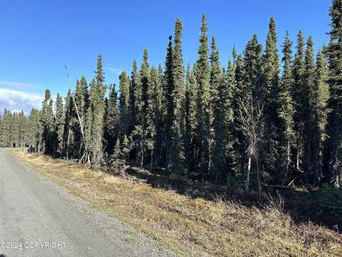 30295 Missing Link Road, Soldotna, AK 99669