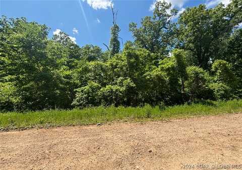 2.67 Acres Camellia Road, Gravois Mills, MO 65037