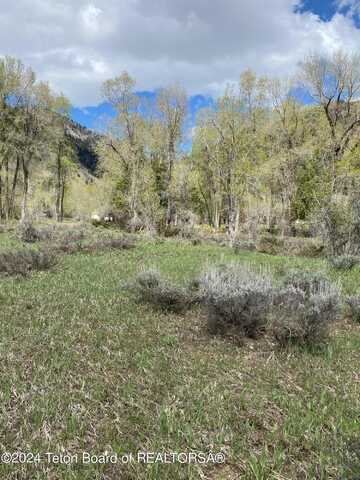 L 93 Gc HARDMAN GOLF COURSE LOT, Star Valley Ranch, WY 83127