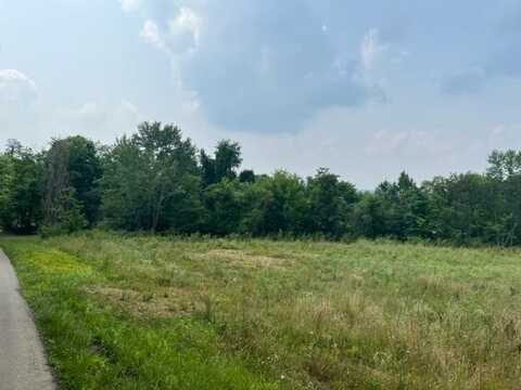 Lot 210,211 Oak St, Carmichaels, PA 15320