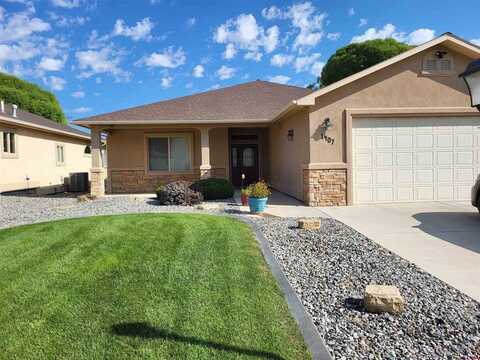 1407 Rainier Lane, Delta, CO 81416