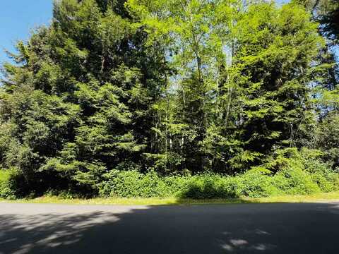 Lot 12 Bell Hole Loop, Crescent City, CA 95531