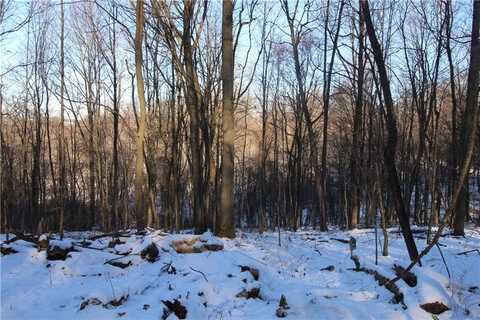Lot 169 Squirrel Rd, Connoquenessing, PA 16033