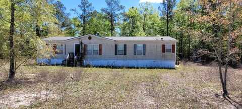 36 Joe Dority Road, Bishopville, SC 29010