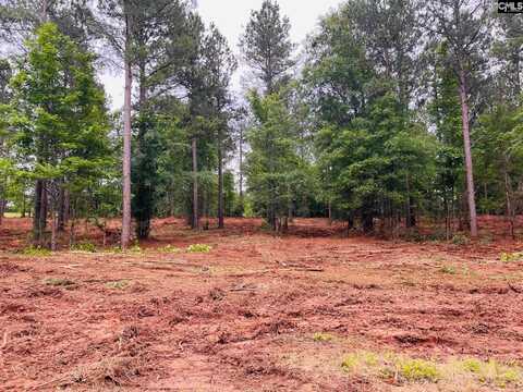 2609 Pierce Boozer Loop Road, Prosperity, SC 29127