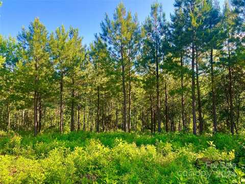151 (lot) Ryleigh Dan Place, Mooresville, NC 28115
