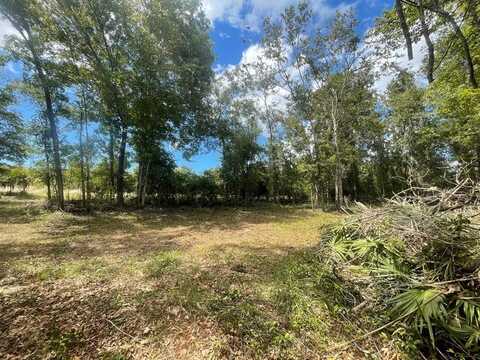 TBD HWY 361, Steinhatchee, FL 32359