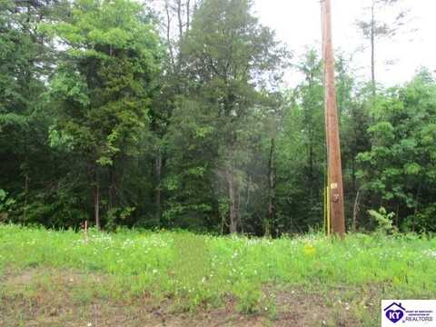 lots 18 & 19 Brier Creek Road, Mammoth Cave, KY 42259