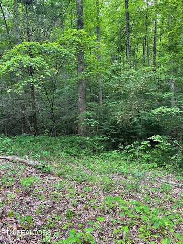 Lot 2 Old Cades Cove Rd, Townsend, TN 37882