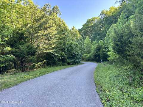 Lot 731 Russell Brothers Rd, Sharps Chapel, TN 37866