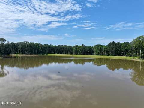 Springwood Trail, Flora, MS 39071