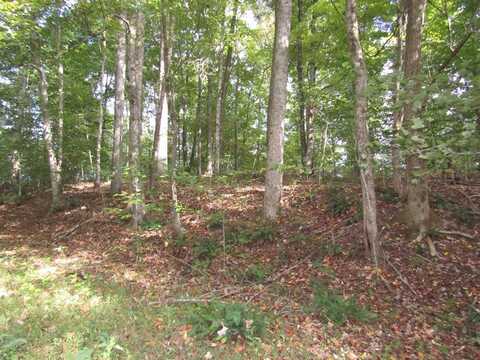 3.22ac Old Antioch Rd, GAINESBORO, TN 38562