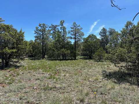 5459 Gray Wolf Drive, Lakeside, AZ 85929