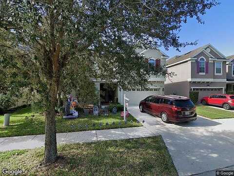 Early Violet, TAMPA, FL 33647