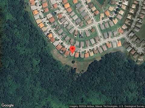 Bowfin, KISSIMMEE, FL 34746