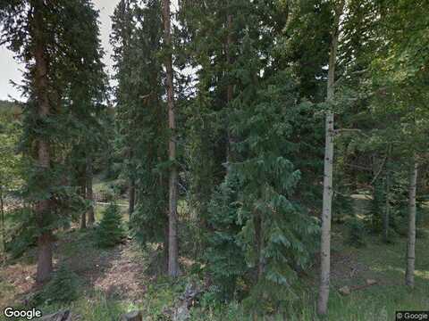 Forest Estates, EVERGREEN, CO 80439