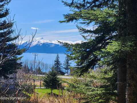 1742 Sterling Highway, Homer, AK 99603