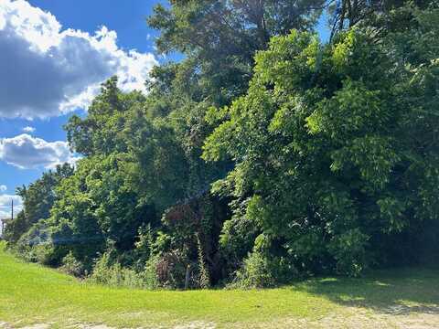 1.12 Ac Main St, Abbeville, GA 31001