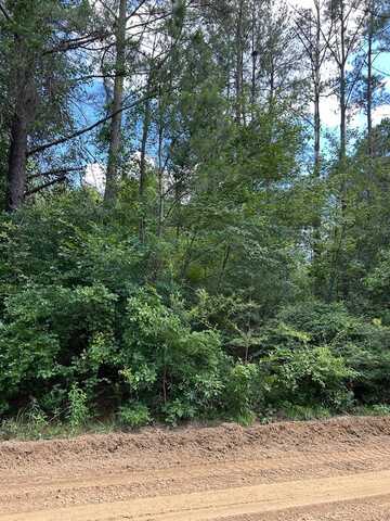 Lot 37 Crestview Dr, Abbeville, GA 31001