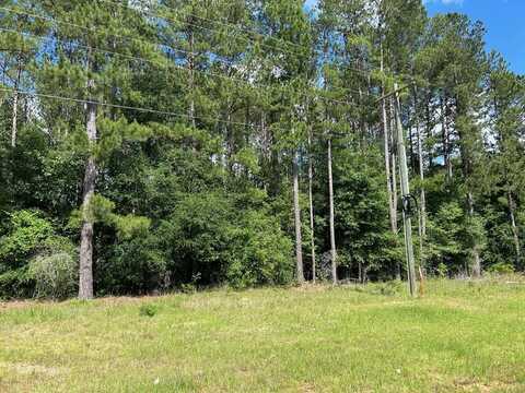 Lot 36 S Hwy 129, Abbeville, GA 31001