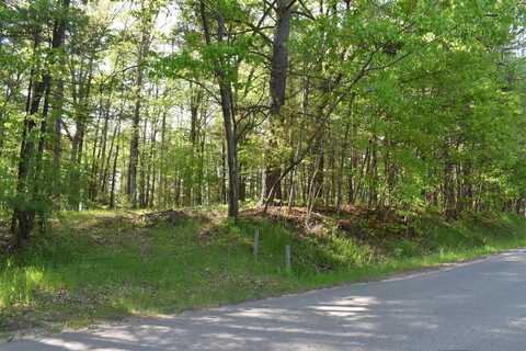 Lot 176 & 177 Queensway, Gladwin, MI 48624