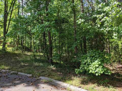 0 Creek Bottom Drive, Cayce, SC 29033