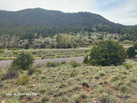 2166 Bear Creek Circle, South Fork, CO 81154