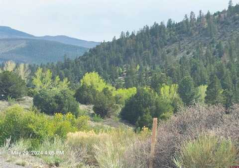 2166 Bear Creek Circle, South Fork, CO 81154