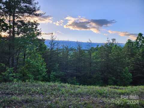 87 Mountain Lookout Drive, Bostic, NC 28018