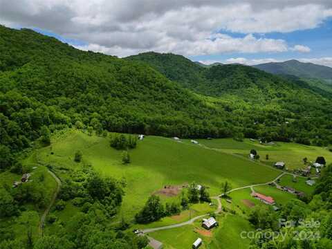 Max Patch Road, Clyde, NC 28721