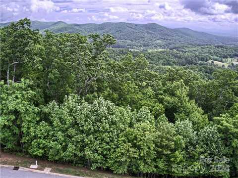 1094 Mills River Way unit: 46, Horse Shoe, NC 28742