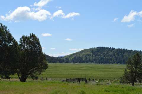 Running Y Road, Klamath Falls, OR 97601