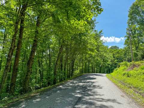 0 Cove Norris Rd, Caryville, TN 37714