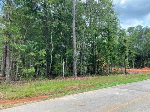 NHN E Lakeshore Dr Lot 1127, Carriere, MS 39426