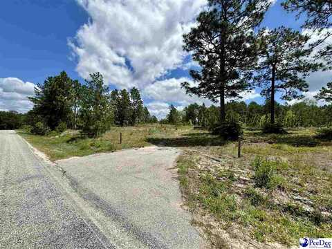 8 Acre Tract Evans Mill Road, Chesterfield, SC 29709