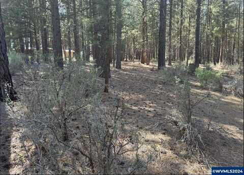 Lot 3 N Waterview Wy, Chiloquin, OR 97624