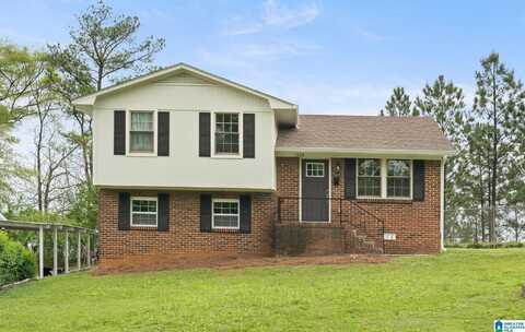 1309 36TH STREET, BIRMINGHAM, AL 35234