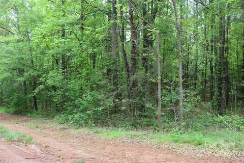 00 Vista Drive, Lincolnton, NC 28092