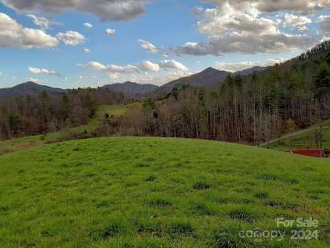 523 Lower Paw Paw Road, Marshall, NC 28753