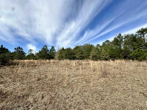 4615 US HIGHWAY 331, DeFuniak Springs, FL 32435