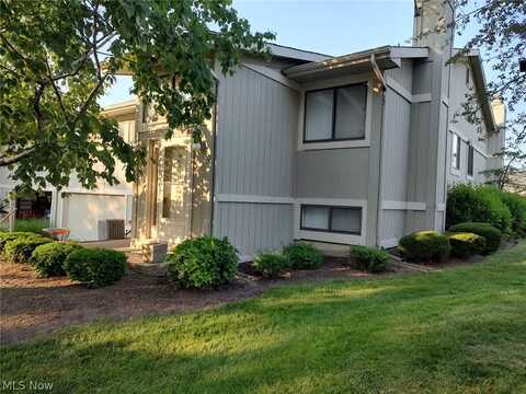 7235 S Merlyn Place, Concord Twp, OH 44077