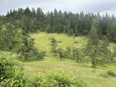 Oakshire DR, Springfield, OR 97478