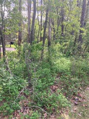 Lot 3 Pinewood Drive, Breezy Point, MN 56472