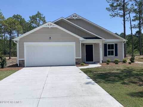 254 Fifty Lakes Drive, Boiling Spring Lakes, NC 28461