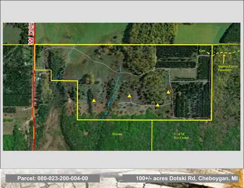 W Dotski Road, Cheboygan, MI 49721