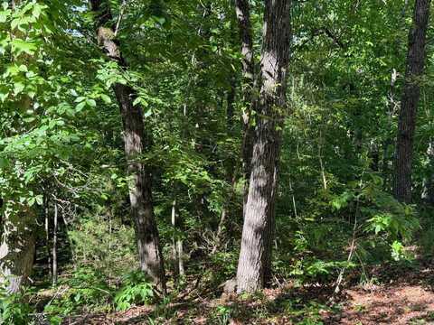 TBD Peoto Drive, Cherokee Village, AR 72529