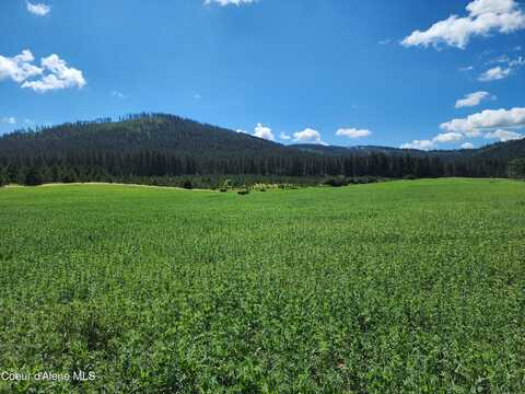 Nka Desmet Rd, Desmet, ID 83824