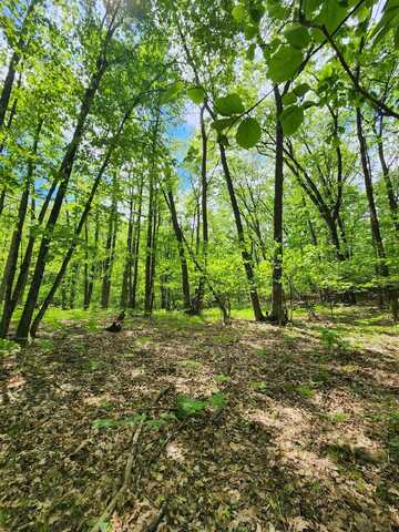 Lot 827 Hemlock, Farwell, MI 48622