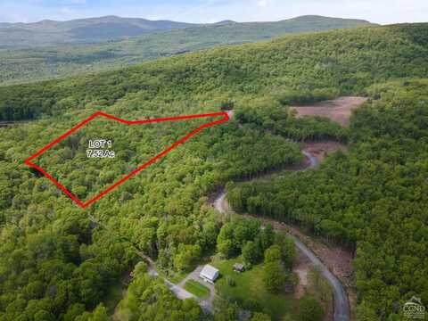 0 Galway rd, Windham, NY 12496